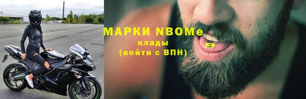 прущие грибы Хадыженск