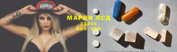 прущие грибы Хадыженск