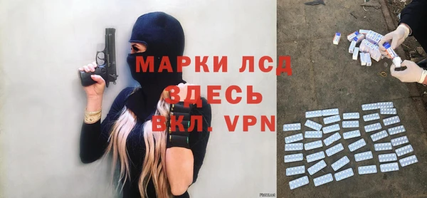 прущие грибы Хадыженск
